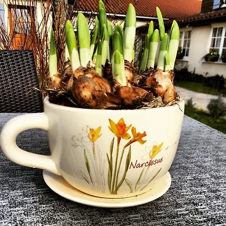 Logis La Grange Du Relais Отель Коломбе-ле-дёз-Эглиз