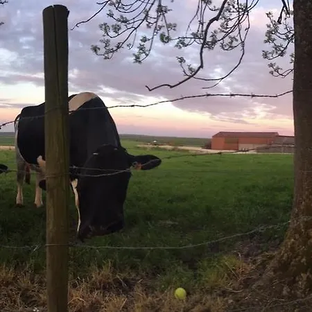 Отель Logis La Grange Du Relais Коломбе-ле-дёз-Эглиз