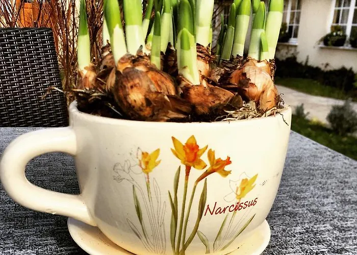 Logis Restaurant La Grange Du Relais Hotel Colombey-les-deux-Églises