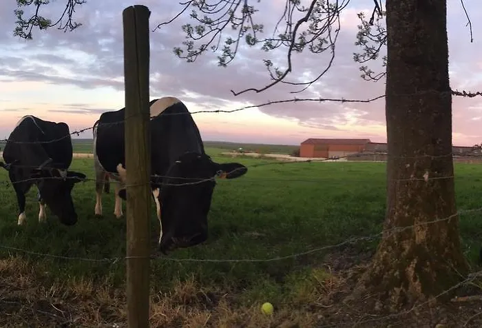 Hotel Logis Restaurant La Grange Du Relais Colombey-les-deux-Églises